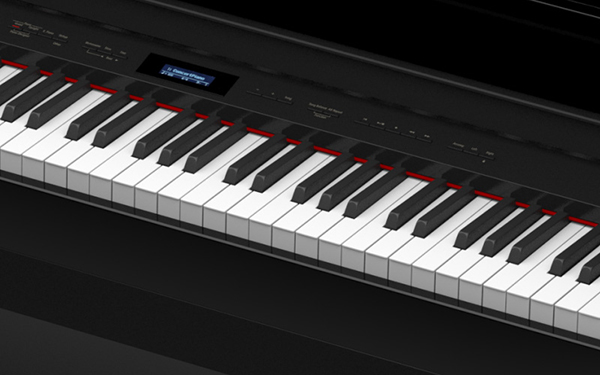 Music City – Tổng Kho Piano, Guitar, Organ | Dịch Vụ Giáo Dục Âm Nhạc
