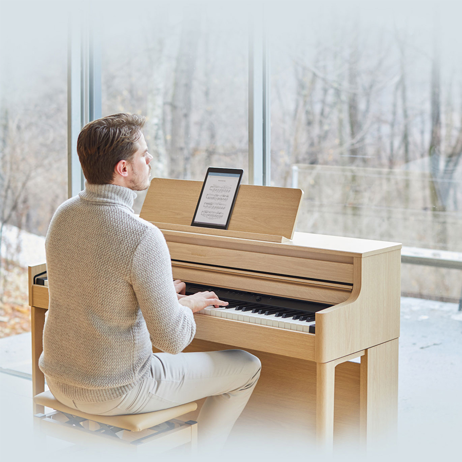 Music City – Tổng Kho Piano, Guitar, Organ | Dịch Vụ Giáo Dục Âm Nhạc