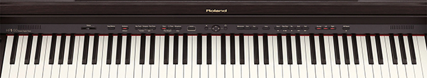 Music City – Tổng Kho Piano, Guitar, Organ | Dịch Vụ Giáo Dục Âm Nhạc