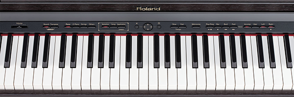 Music City – Tổng Kho Piano, Guitar, Organ | Dịch Vụ Giáo Dục Âm Nhạc