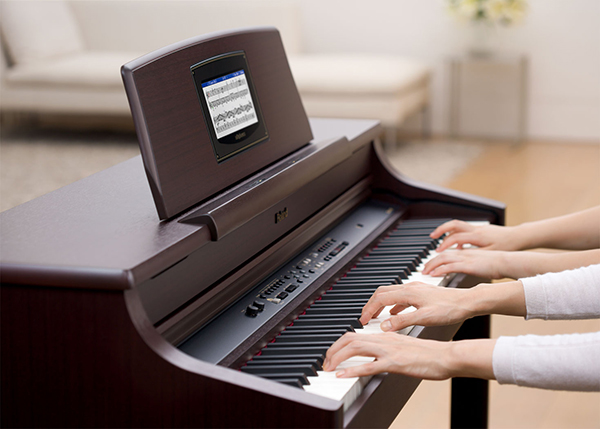 Music City – Tổng Kho Piano, Guitar, Organ | Dịch Vụ Giáo Dục Âm Nhạc