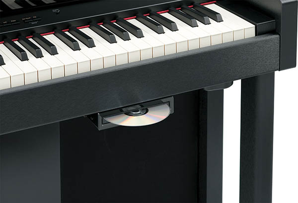 Music City – Tổng Kho Piano, Guitar, Organ | Dịch Vụ Giáo Dục Âm Nhạc
