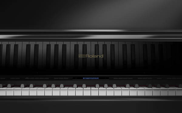 Music City – Tổng Kho Piano, Guitar, Organ | Dịch Vụ Giáo Dục Âm Nhạc