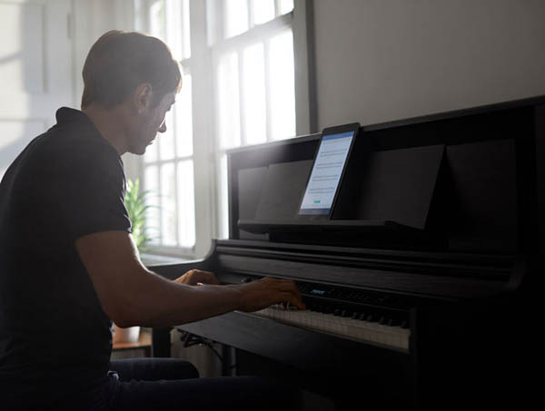 Music City – Tổng Kho Piano, Guitar, Organ | Dịch Vụ Giáo Dục Âm Nhạc