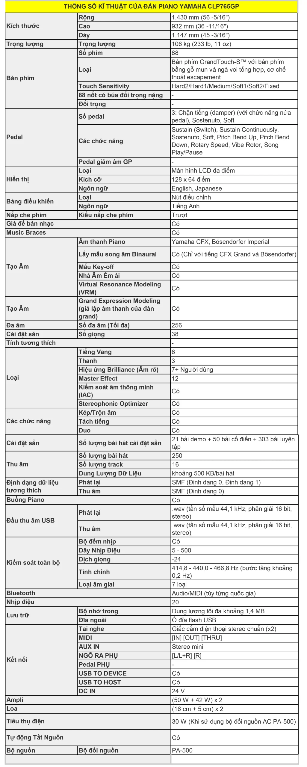 Music City – Tổng Kho Piano, Guitar, Organ | Dịch Vụ Giáo Dục Âm Nhạc
