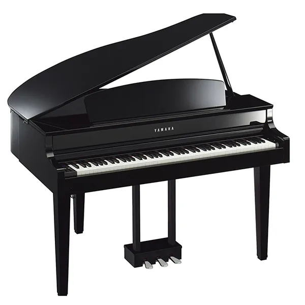 Music City – Tổng Kho Piano, Guitar, Organ | Dịch Vụ Giáo Dục Âm Nhạc