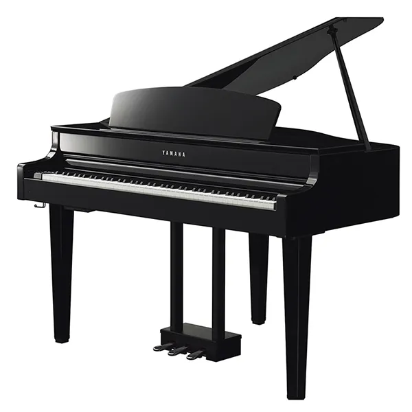 Music City – Tổng Kho Piano, Guitar, Organ | Dịch Vụ Giáo Dục Âm Nhạc
