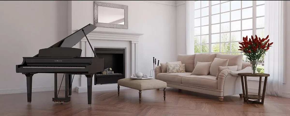 Music City – Tổng Kho Piano, Guitar, Organ | Dịch Vụ Giáo Dục Âm Nhạc