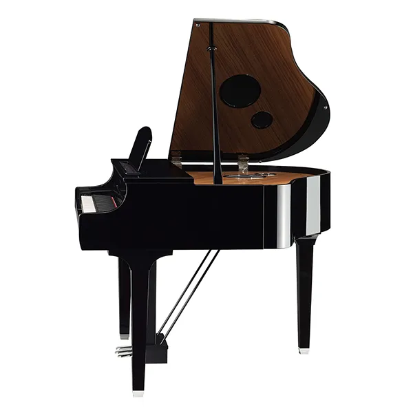 Music City – Tổng Kho Piano, Guitar, Organ | Dịch Vụ Giáo Dục Âm Nhạc
