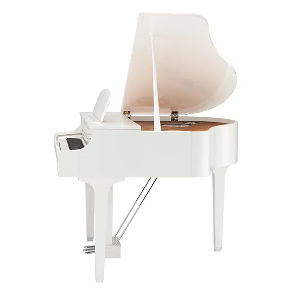 Music City – Tổng Kho Piano, Guitar, Organ | Dịch Vụ Giáo Dục Âm Nhạc