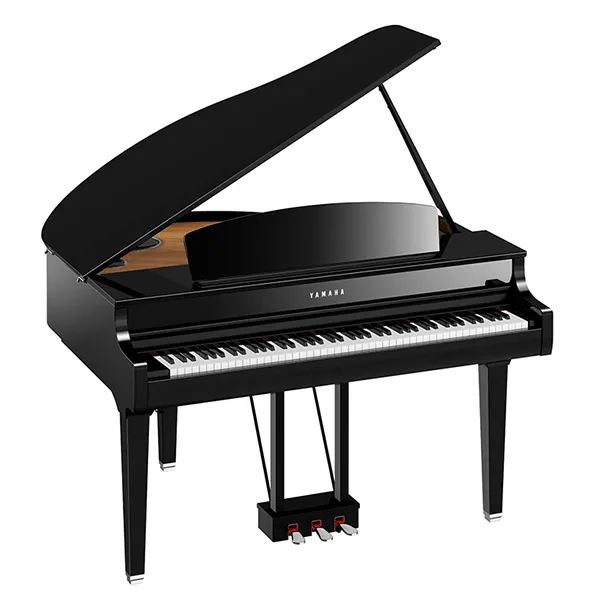 Music City – Tổng Kho Piano, Guitar, Organ | Dịch Vụ Giáo Dục Âm Nhạc