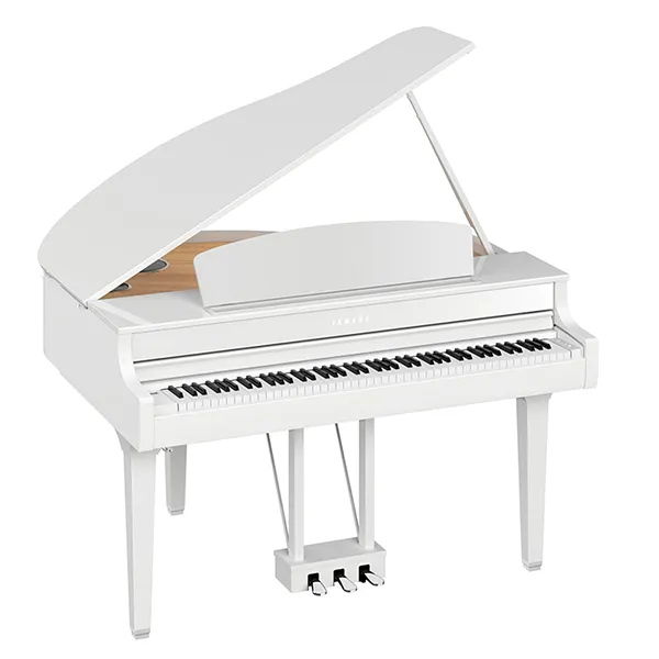 Music City – Tổng Kho Piano, Guitar, Organ | Dịch Vụ Giáo Dục Âm Nhạc