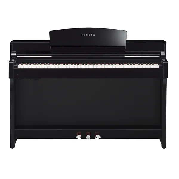 Music City – Tổng Kho Piano, Guitar, Organ | Dịch Vụ Giáo Dục Âm Nhạc