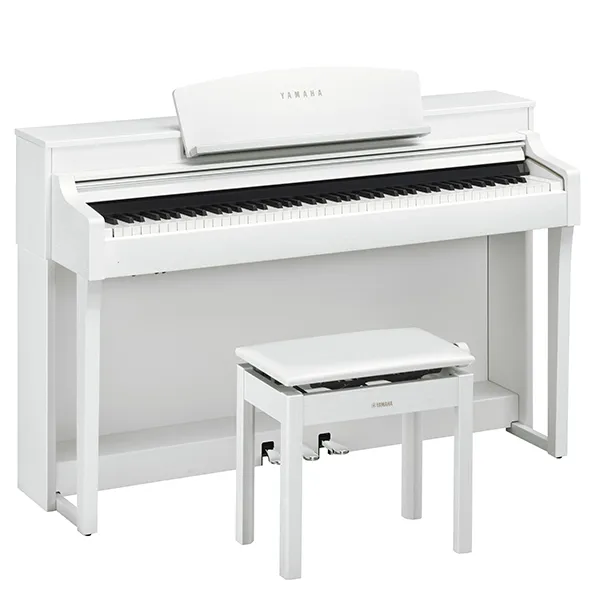 Music City – Tổng Kho Piano, Guitar, Organ | Dịch Vụ Giáo Dục Âm Nhạc