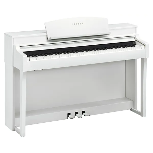 Music City – Tổng Kho Piano, Guitar, Organ | Dịch Vụ Giáo Dục Âm Nhạc