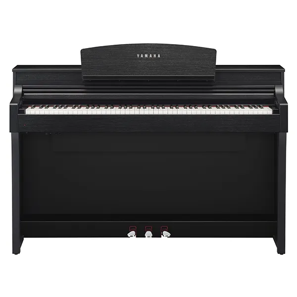 Music City – Tổng Kho Piano, Guitar, Organ | Dịch Vụ Giáo Dục Âm Nhạc