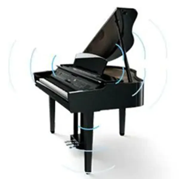 Music City – Tổng Kho Piano, Guitar, Organ | Dịch Vụ Giáo Dục Âm Nhạc
