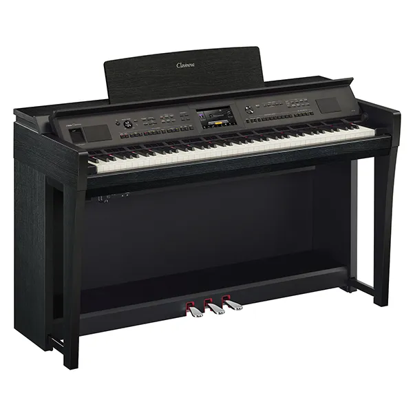 Music City – Tổng Kho Piano, Guitar, Organ | Dịch Vụ Giáo Dục Âm Nhạc