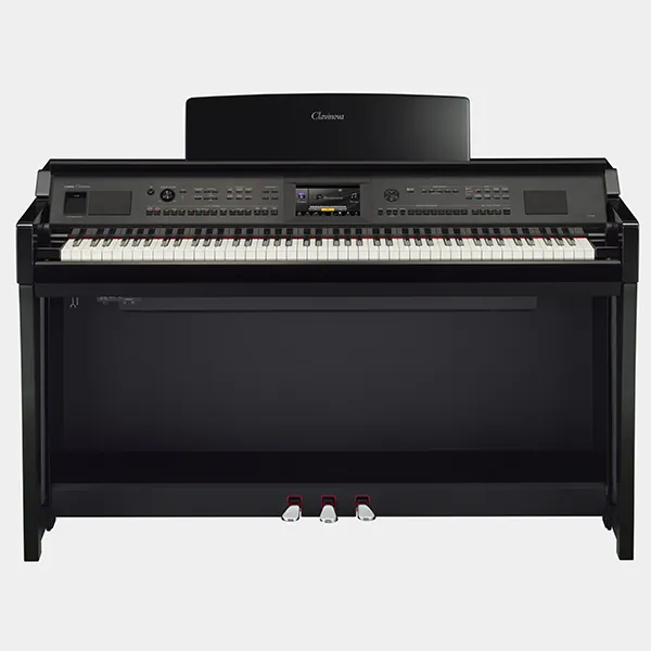Music City – Tổng Kho Piano, Guitar, Organ | Dịch Vụ Giáo Dục Âm Nhạc