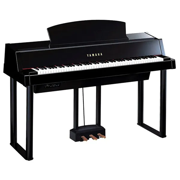 Music City – Tổng Kho Piano, Guitar, Organ | Dịch Vụ Giáo Dục Âm Nhạc