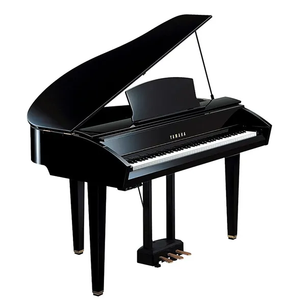 Music City – Tổng Kho Piano, Guitar, Organ | Dịch Vụ Giáo Dục Âm Nhạc