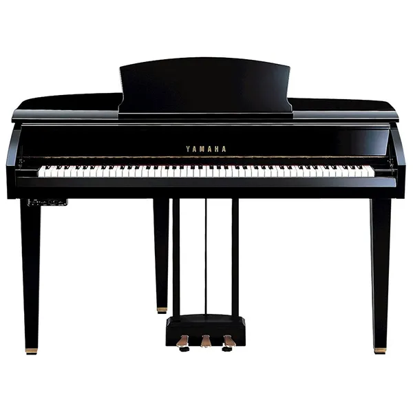 Music City – Tổng Kho Piano, Guitar, Organ | Dịch Vụ Giáo Dục Âm Nhạc