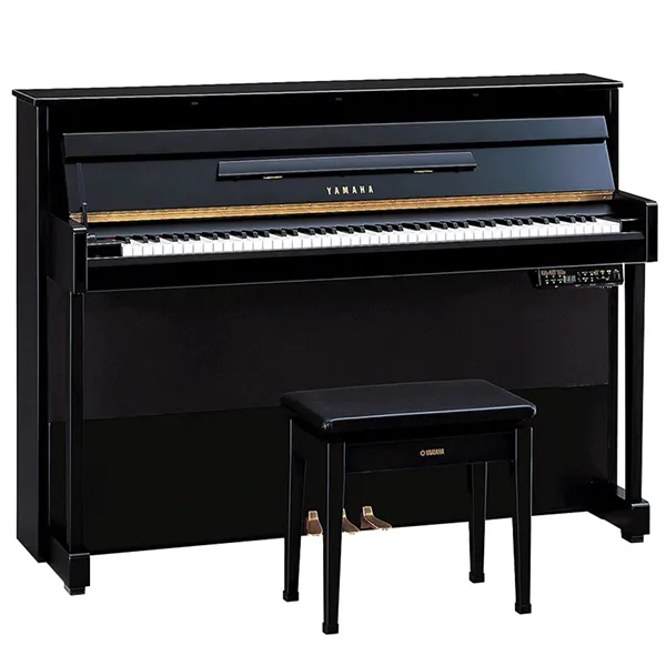 Music City – Tổng Kho Piano, Guitar, Organ | Dịch Vụ Giáo Dục Âm Nhạc