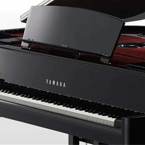 Music City – Tổng Kho Piano, Guitar, Organ | Dịch Vụ Giáo Dục Âm Nhạc