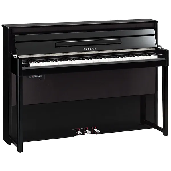 Music City – Tổng Kho Piano, Guitar, Organ | Dịch Vụ Giáo Dục Âm Nhạc