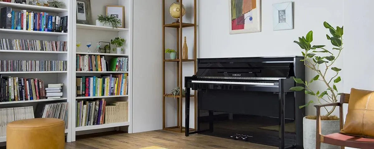 Music City – Tổng Kho Piano, Guitar, Organ | Dịch Vụ Giáo Dục Âm Nhạc