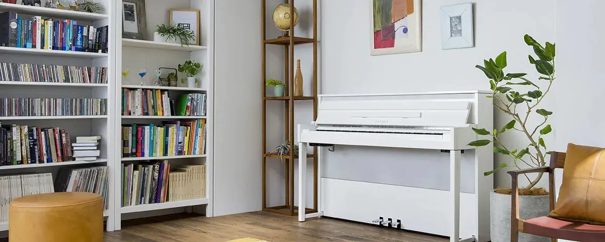Music City – Tổng Kho Piano, Guitar, Organ | Dịch Vụ Giáo Dục Âm Nhạc