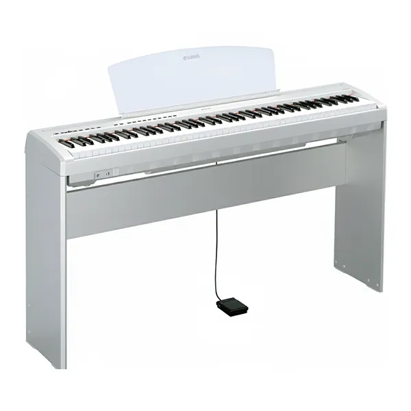 Music City – Tổng Kho Piano, Guitar, Organ | Dịch Vụ Giáo Dục Âm Nhạc
