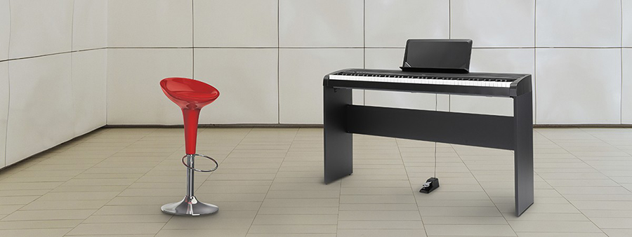 Music City – Tổng Kho Piano, Guitar, Organ | Dịch Vụ Giáo Dục Âm Nhạc
