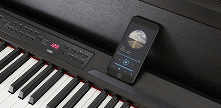 Music City – Tổng Kho Piano, Guitar, Organ | Dịch Vụ Giáo Dục Âm Nhạc
