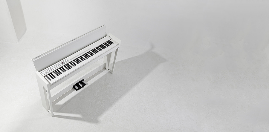 Music City – Tổng Kho Piano, Guitar, Organ | Dịch Vụ Giáo Dục Âm Nhạc