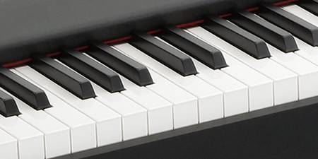 Music City – Tổng Kho Piano, Guitar, Organ | Dịch Vụ Giáo Dục Âm Nhạc