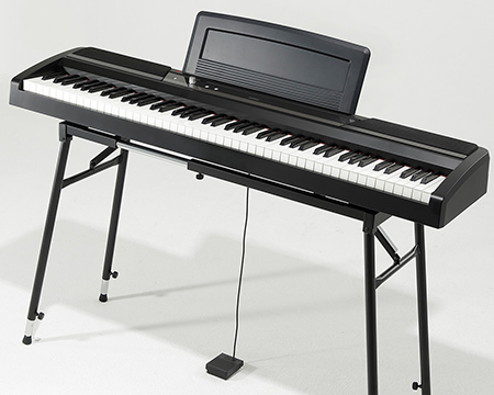 Music City – Tổng Kho Piano, Guitar, Organ | Dịch Vụ Giáo Dục Âm Nhạc