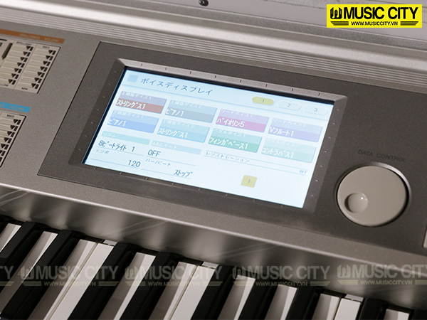 Music City – Tổng Kho Piano, Guitar, Organ | Dịch Vụ Giáo Dục Âm Nhạc