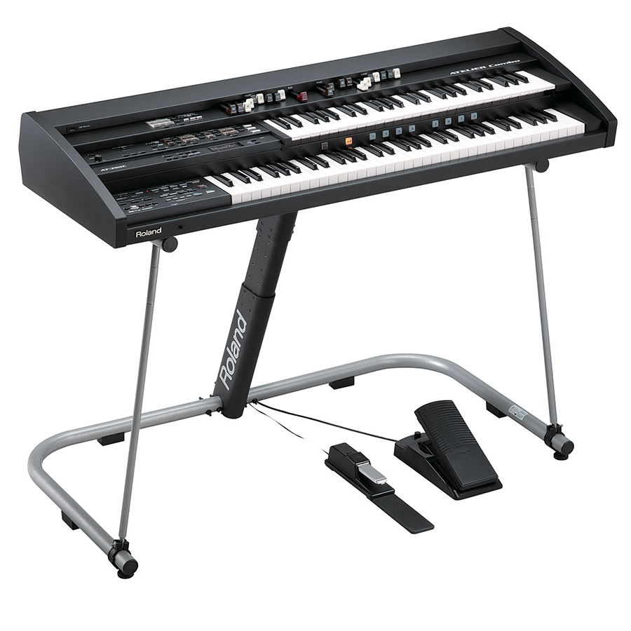 Music City – Tổng Kho Piano, Guitar, Organ | Dịch Vụ Giáo Dục Âm Nhạc