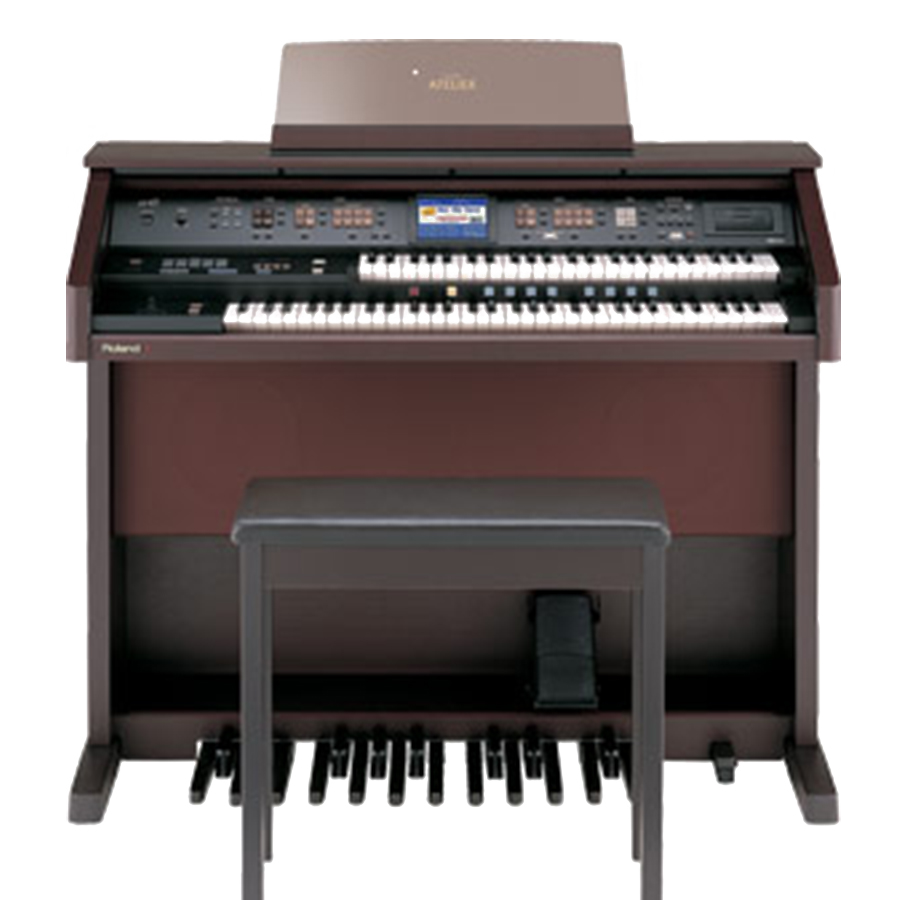Music City – Tổng Kho Piano, Guitar, Organ | Dịch Vụ Giáo Dục Âm Nhạc