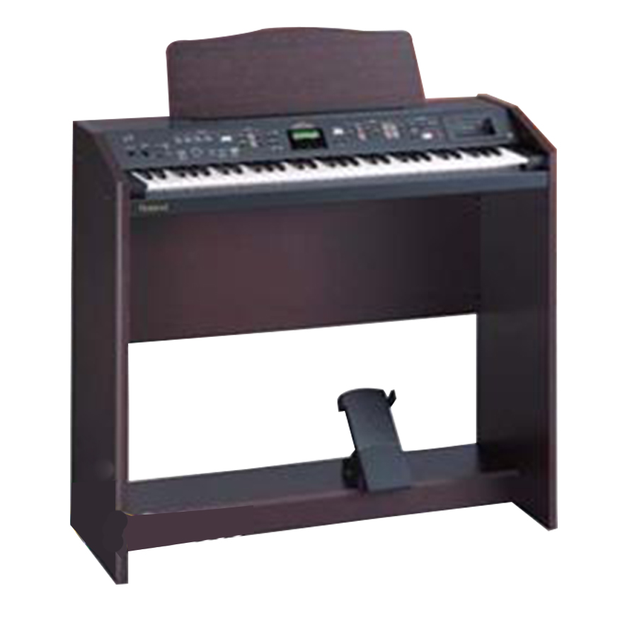 Music City – Tổng Kho Piano, Guitar, Organ | Dịch Vụ Giáo Dục Âm Nhạc