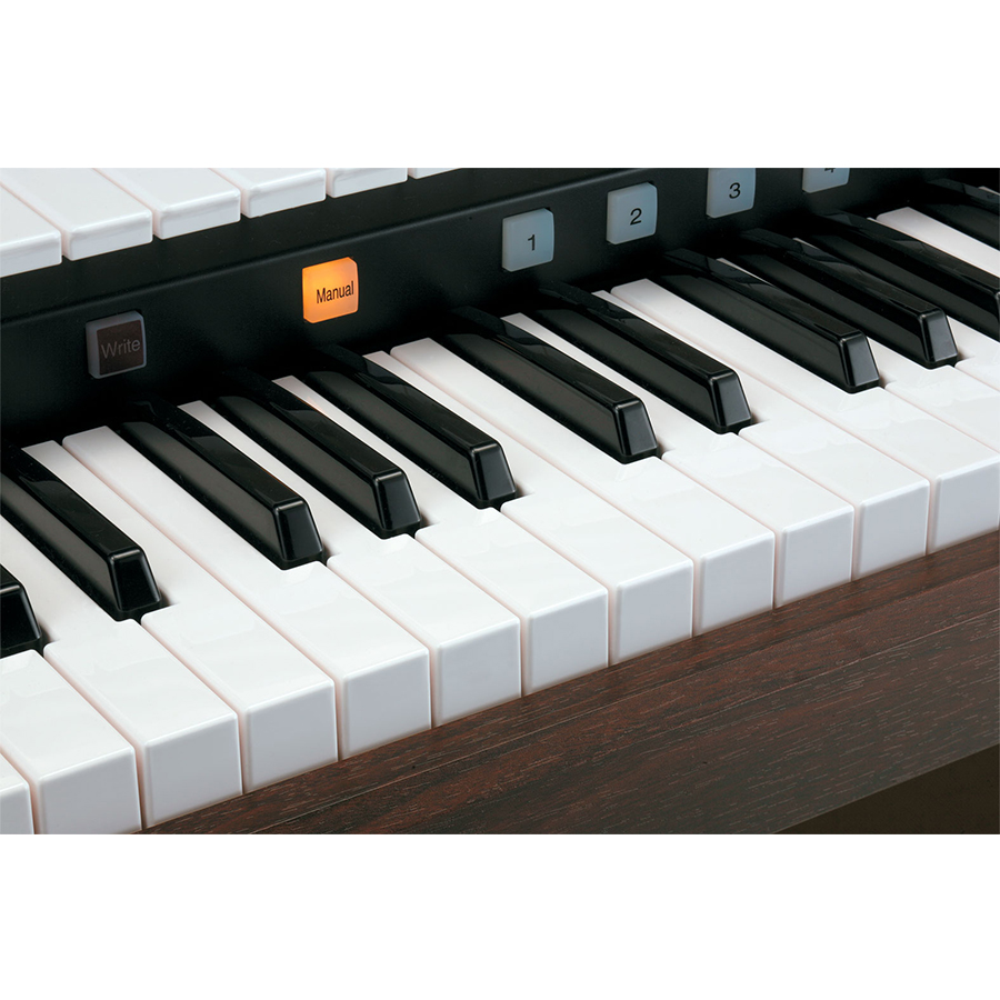 Music City – Tổng Kho Piano, Guitar, Organ | Dịch Vụ Giáo Dục Âm Nhạc