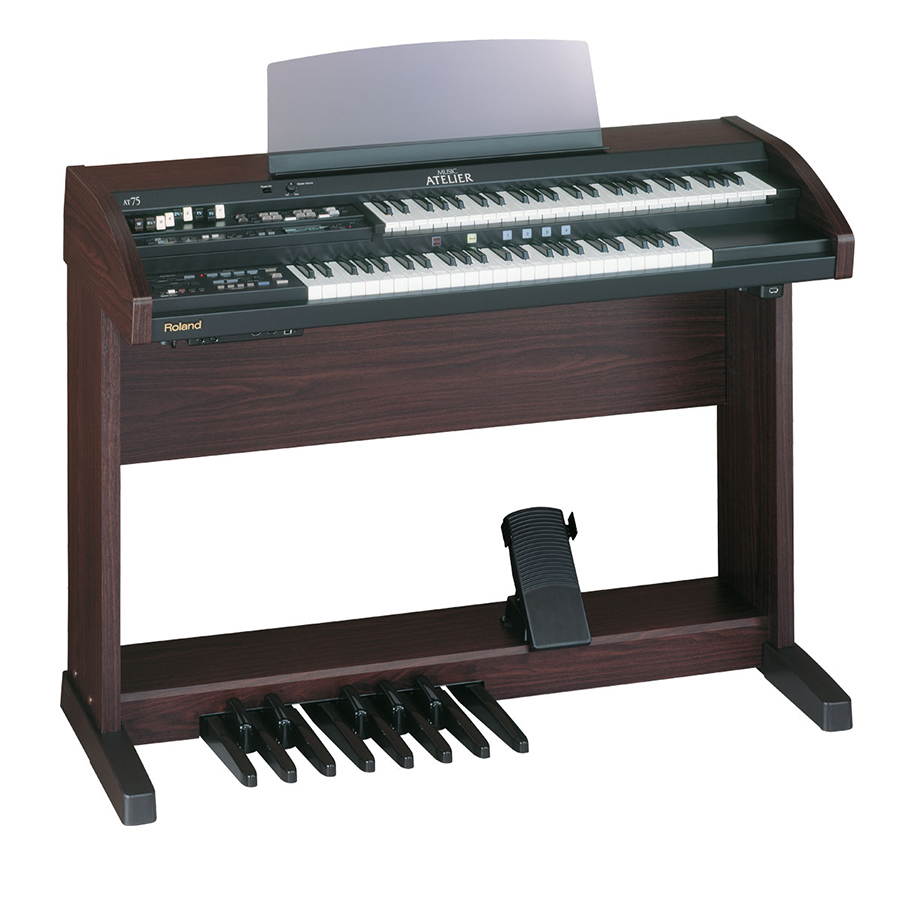 Music City – Tổng Kho Piano, Guitar, Organ | Dịch Vụ Giáo Dục Âm Nhạc
