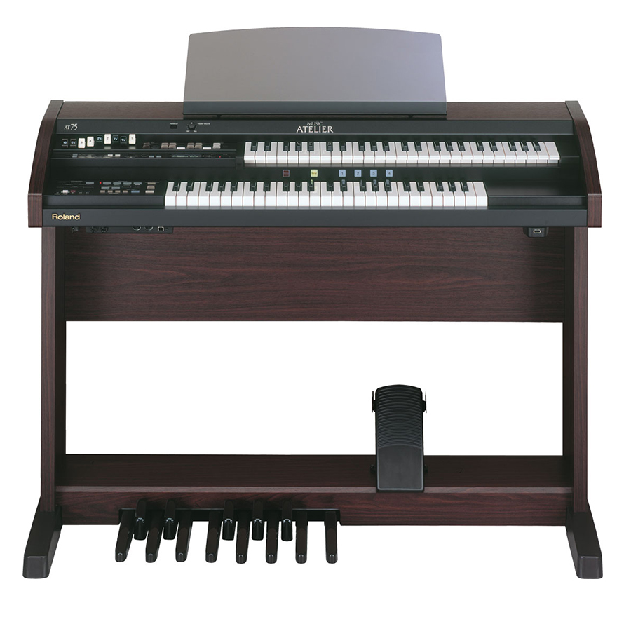 Music City – Tổng Kho Piano, Guitar, Organ | Dịch Vụ Giáo Dục Âm Nhạc