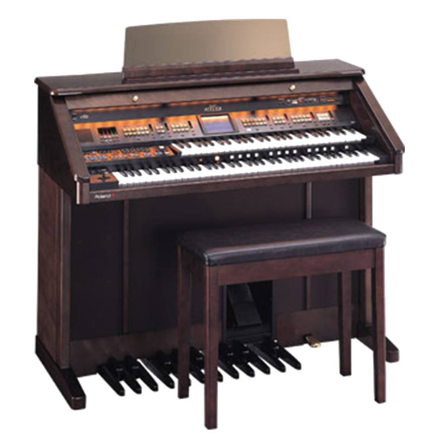 Music City – Tổng Kho Piano, Guitar, Organ | Dịch Vụ Giáo Dục Âm Nhạc