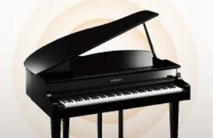 Music City – Tổng Kho Piano, Guitar, Organ | Dịch Vụ Giáo Dục Âm Nhạc