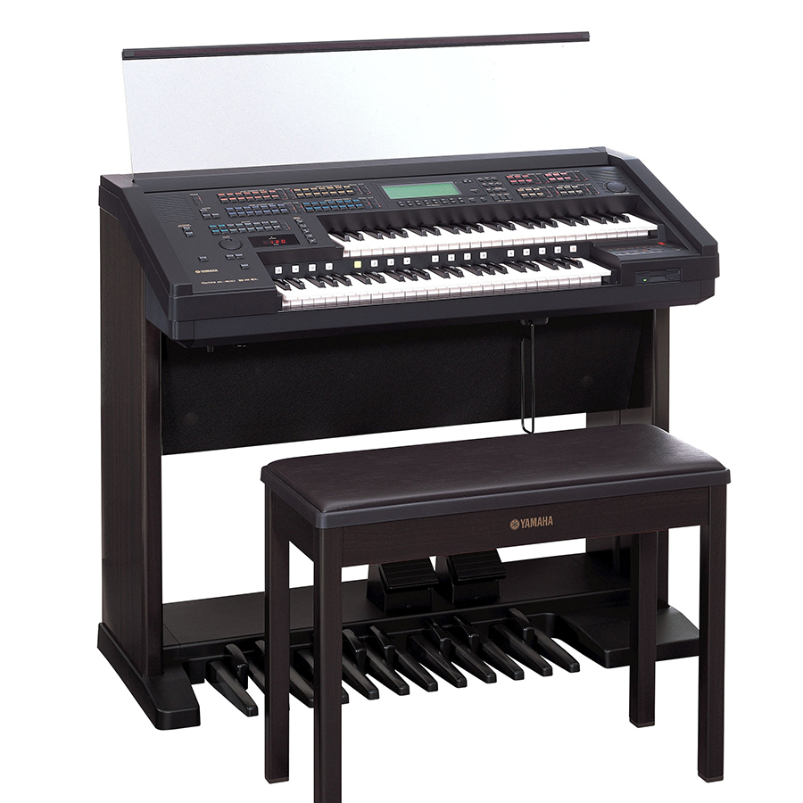 Music City – Tổng Kho Piano, Guitar, Organ | Dịch Vụ Giáo Dục Âm Nhạc