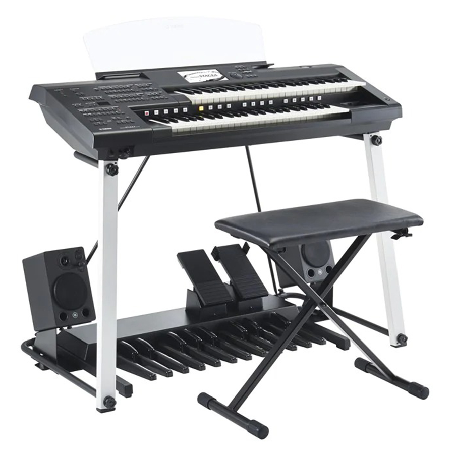 Music City – Tổng Kho Piano, Guitar, Organ | Dịch Vụ Giáo Dục Âm Nhạc