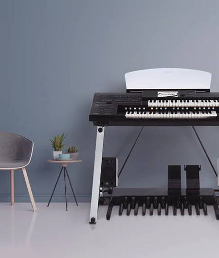 Music City – Tổng Kho Piano, Guitar, Organ | Dịch Vụ Giáo Dục Âm Nhạc