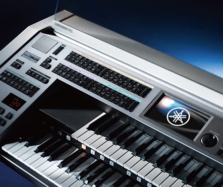 Music City – Tổng Kho Piano, Guitar, Organ | Dịch Vụ Giáo Dục Âm Nhạc